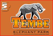 Tembe